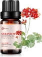 Geranium