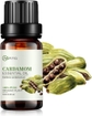 Cardamom